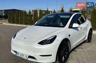 Внедорожник / Кроссовер Tesla Model Y 2023 в Сарнах