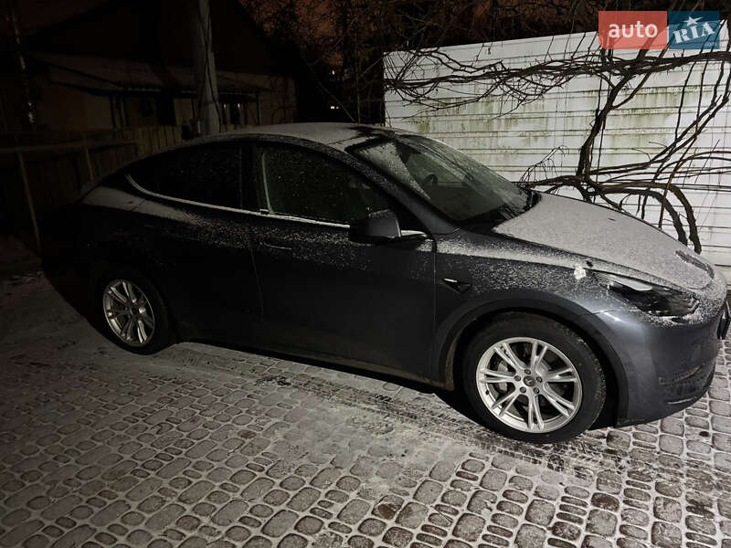 Позашляховик / Кросовер Tesla Model Y 2023 в Полтаві