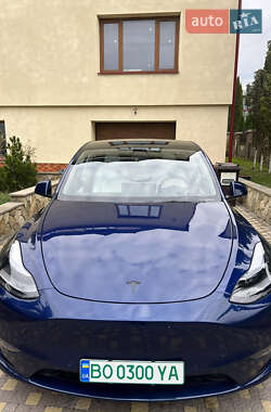 Позашляховик / Кросовер Tesla Model Y 2021 в 