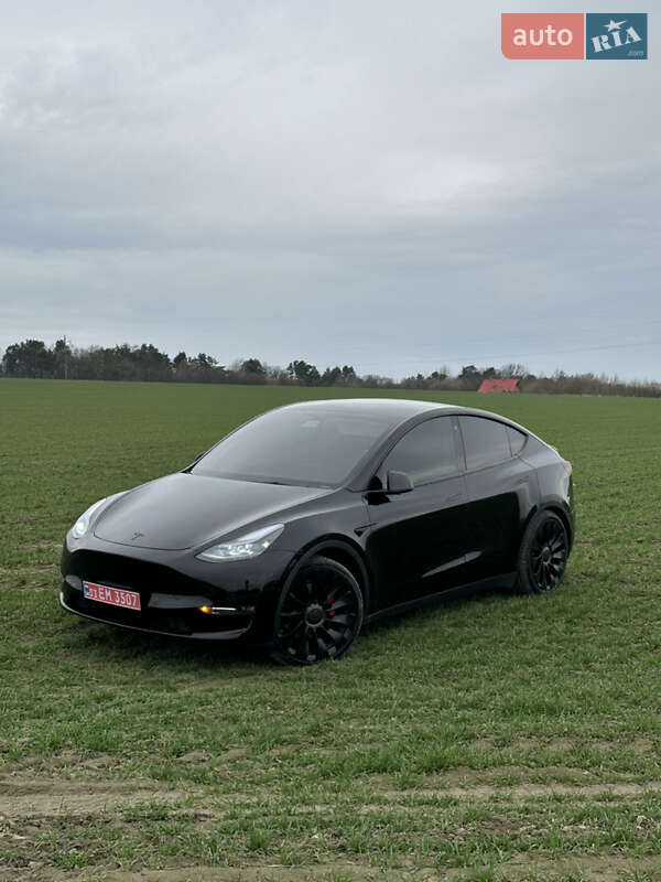 Внедорожник / Кроссовер Tesla Model Y 2022 в Львове