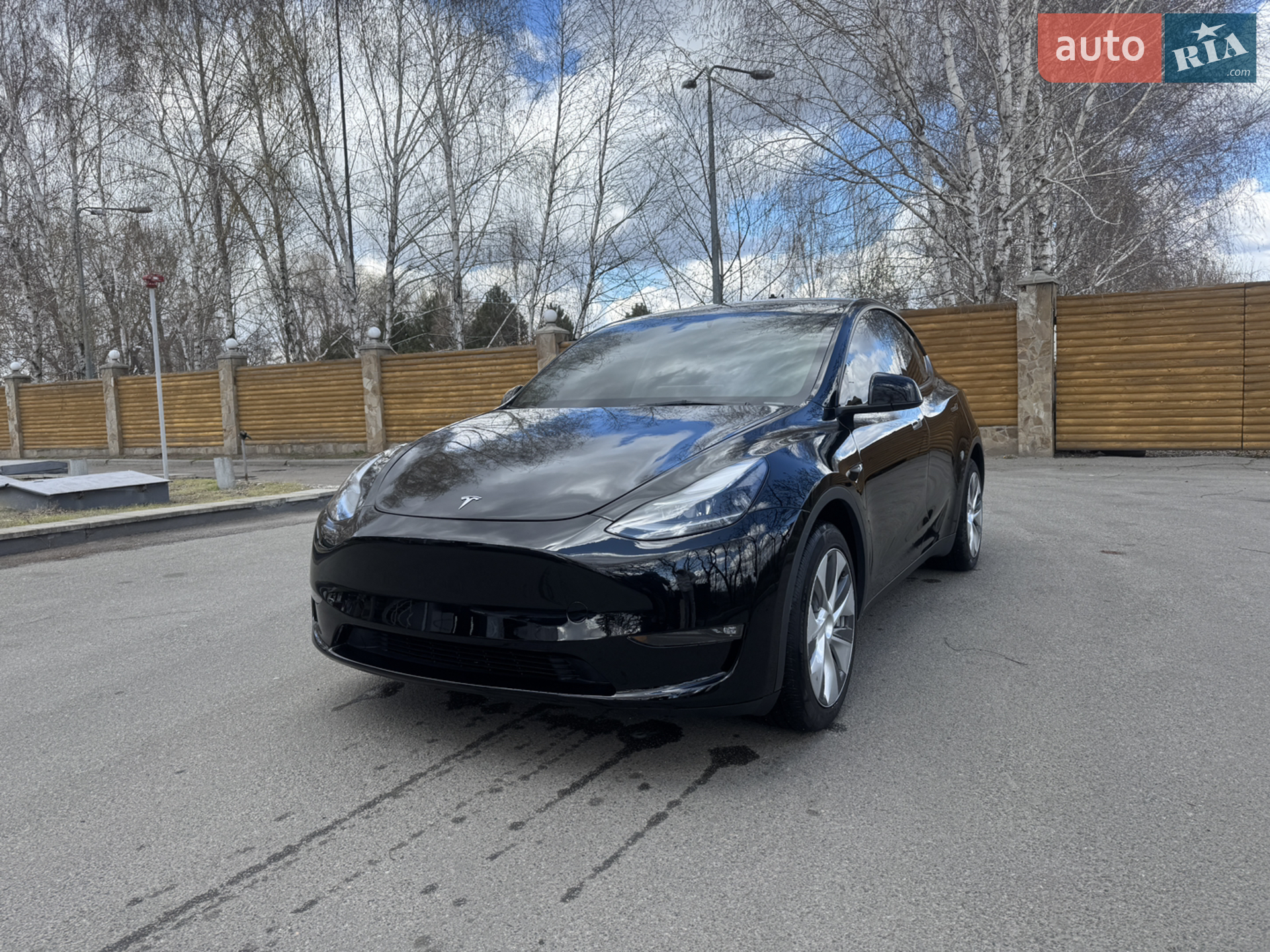 2023 Tesla Model Y - фото 1