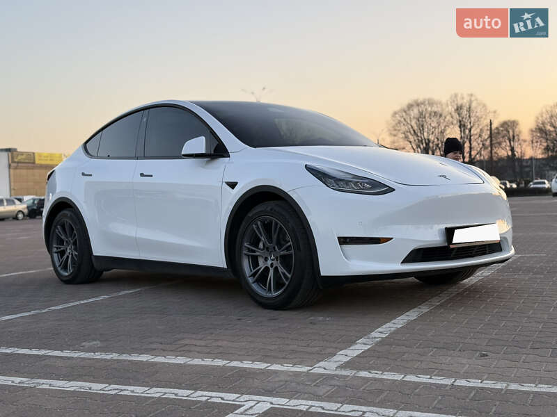 Внедорожник / Кроссовер Tesla Model Y 2022 в Житомире