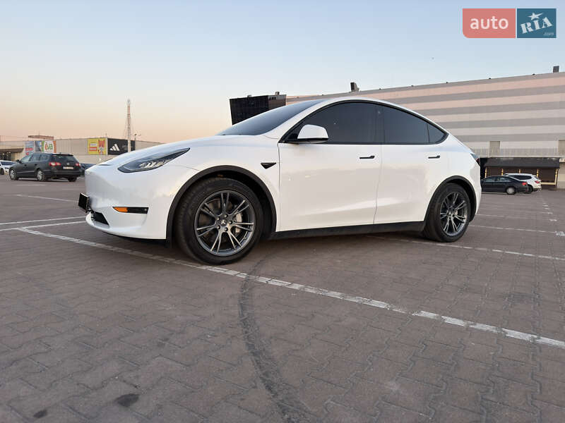 Внедорожник / Кроссовер Tesla Model Y 2022 в Житомире