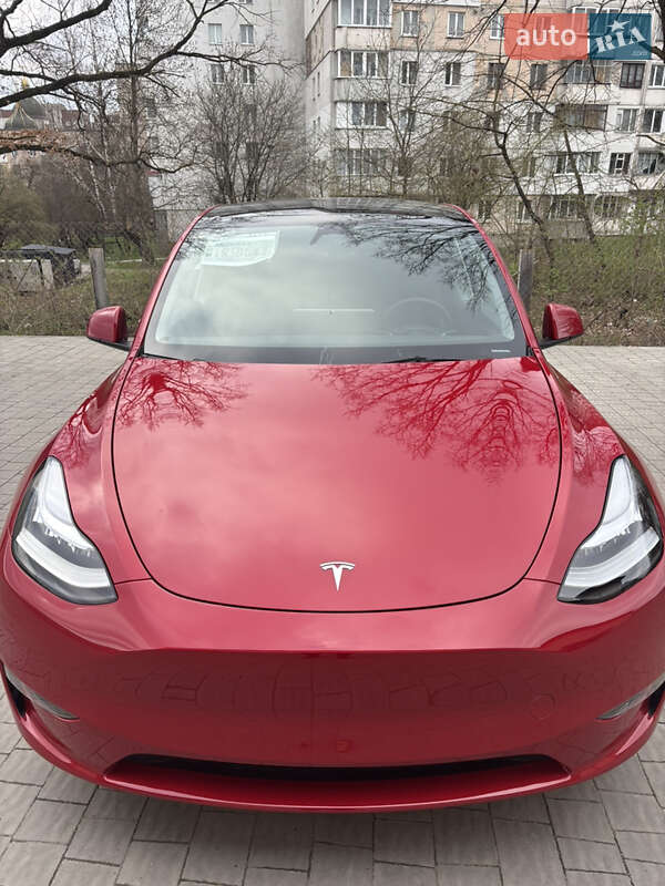 Внедорожник / Кроссовер Tesla Model Y 2023 в Збараже