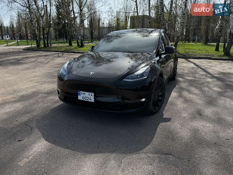 Позашляховик / Кросовер Tesla Model Y 2023 в Житомирі