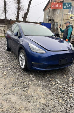 Внедорожник / Кроссовер Tesla Model Y 2024 в 