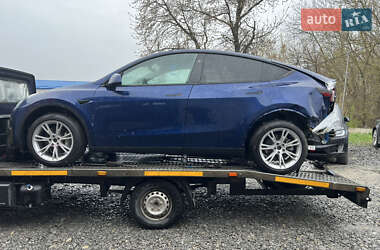 Внедорожник / Кроссовер Tesla Model Y 2024 в 