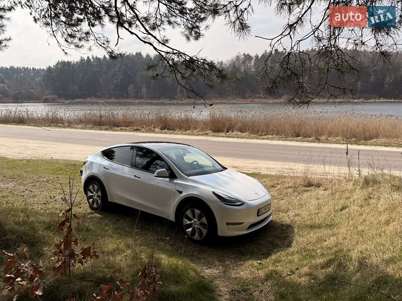 Внедорожник / Кроссовер Tesla Model Y 2023 в 