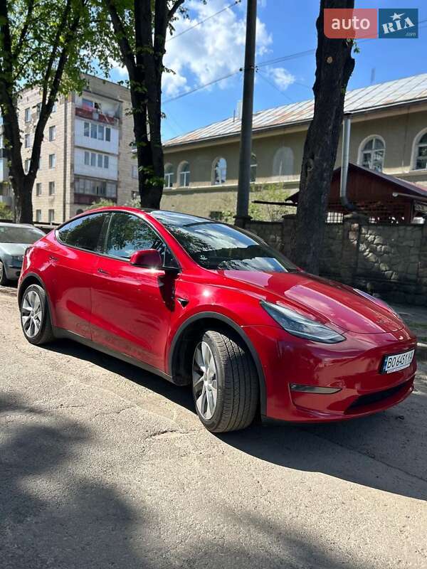 Внедорожник / Кроссовер Tesla Model Y 2020 в Тернополе