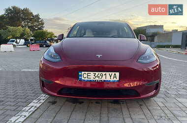 Внедорожник / Кроссовер Tesla Model Y 2024 в Черновцах