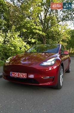 Позашляховик / Кросовер Tesla Model Y 2024 в Києві