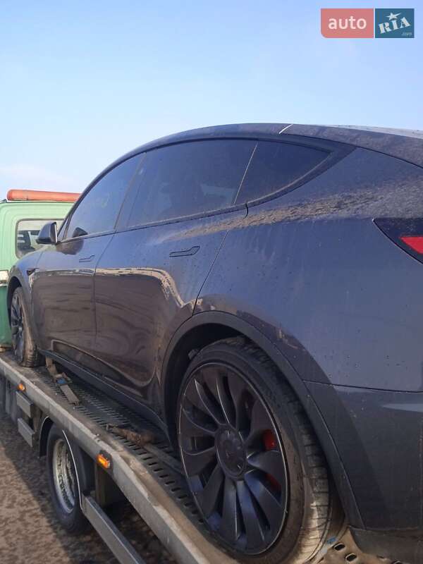 Внедорожник / Кроссовер Tesla Model Y 2023 в Кропивницком фото 41 Внедорожник / Кроссовер Tesla Model Y 2023 в Кропивницком
