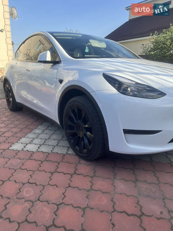Внедорожник / Кроссовер Tesla Model Y 2023 в Киеве