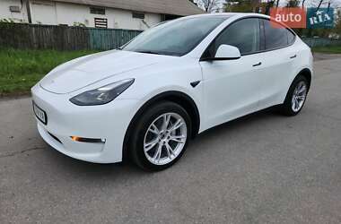 Внедорожник / Кроссовер Tesla Model Y 2023 в Сквире