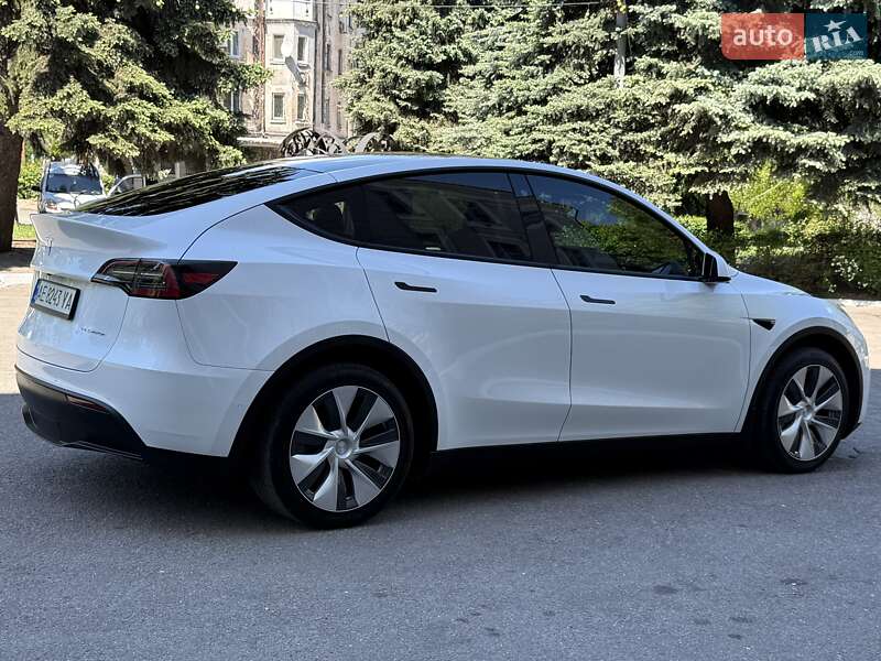 Позашляховик / Кросовер Tesla Model Y 2021 в Кам'янському