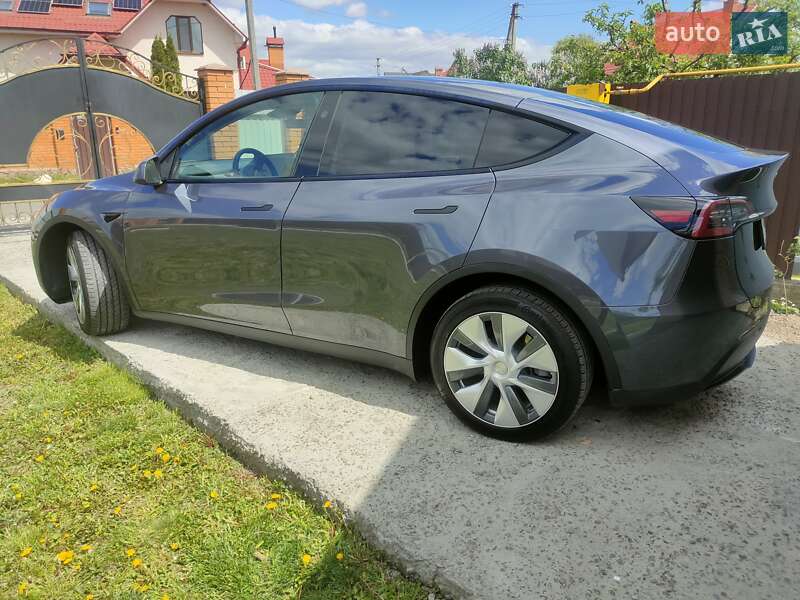 Позашляховик / Кросовер Tesla Model Y 2023 в Києві