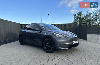 Внедорожник / Кроссовер Tesla Model Y 2021 в Львове