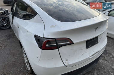 Позашляховик / Кросовер Tesla Model Y 2021 в Ужгороді