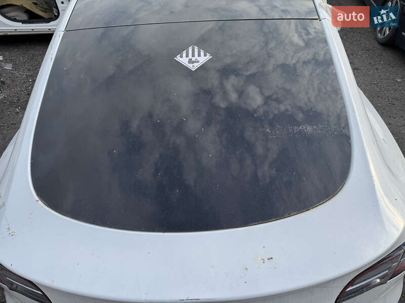 Внедорожник / Кроссовер Tesla Model Y 2021 в Ужгороде