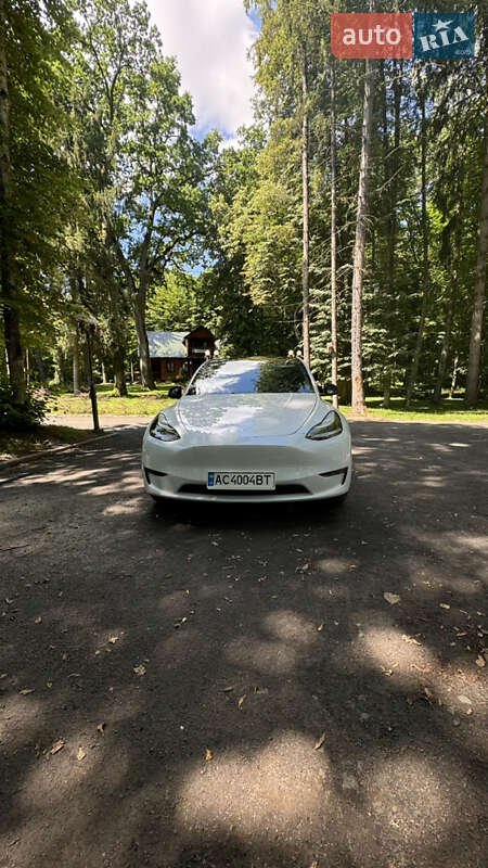 Внедорожник / Кроссовер Tesla Model Y 2020 в Луцке