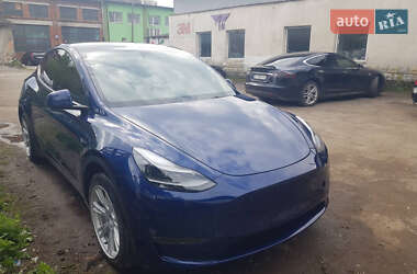 Позашляховик / Кросовер Tesla Model Y 2023 в Києві