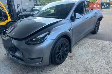 Внедорожник / Кроссовер Tesla Model Y 2025 в Бродах