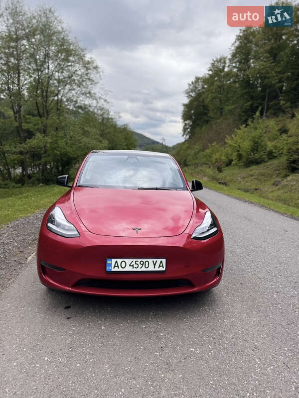 Внедорожник / Кроссовер Tesla Model Y 2023 в Межгорье