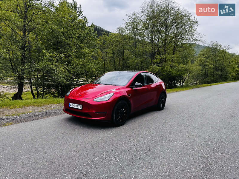 Внедорожник / Кроссовер Tesla Model Y 2023 в Межгорье