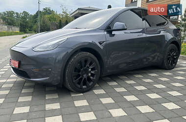 Позашляховик / Кросовер Tesla Model Y 2023 в Стрию