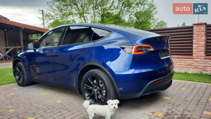 Внедорожник / Кроссовер Tesla Model Y 2023 в Ивано-Франковске