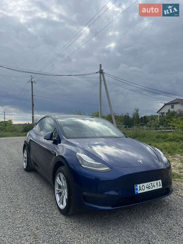 Внедорожник / Кроссовер Tesla Model Y 2022 в Ужгороде