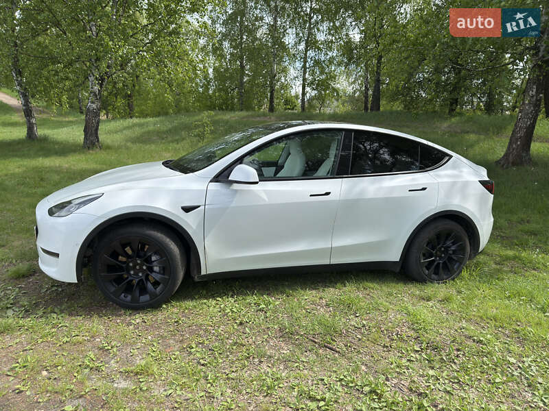 Внедорожник / Кроссовер Tesla Model Y 2021 в Чернигове