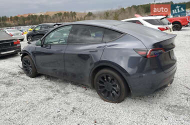 Позашляховик / Кросовер Tesla Model Y 2024 в Львові