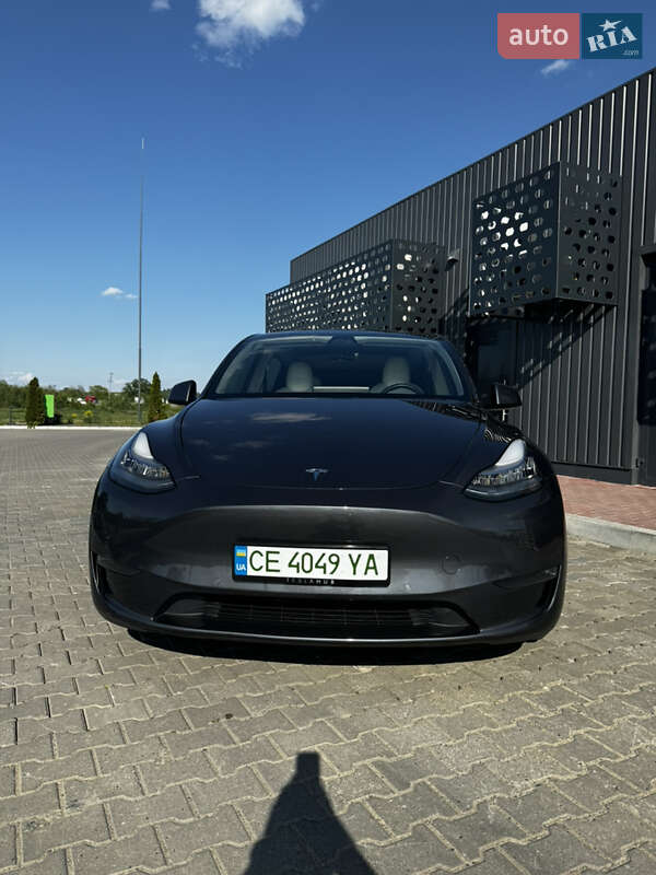 Позашляховик / Кросовер Tesla Model Y 2020 в Чернівцях