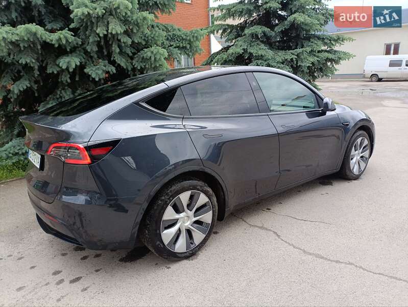 Внедорожник / Кроссовер Tesla Model Y 2024 в Виннице