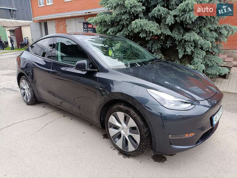 Внедорожник / Кроссовер Tesla Model Y 2024 в Виннице