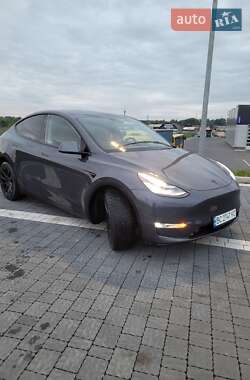 Внедорожник / Кроссовер Tesla Model Y 2020 в 