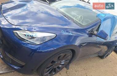 Позашляховик / Кросовер Tesla Model Y 2023 в 