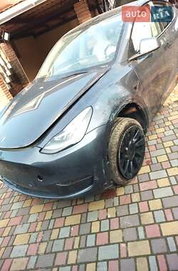 Внедорожник / Кроссовер Tesla Model Y 2023 в Киеве