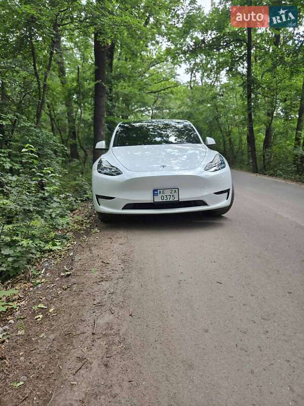 Позашляховик / Кросовер Tesla Model Y 2022 в Дніпрі