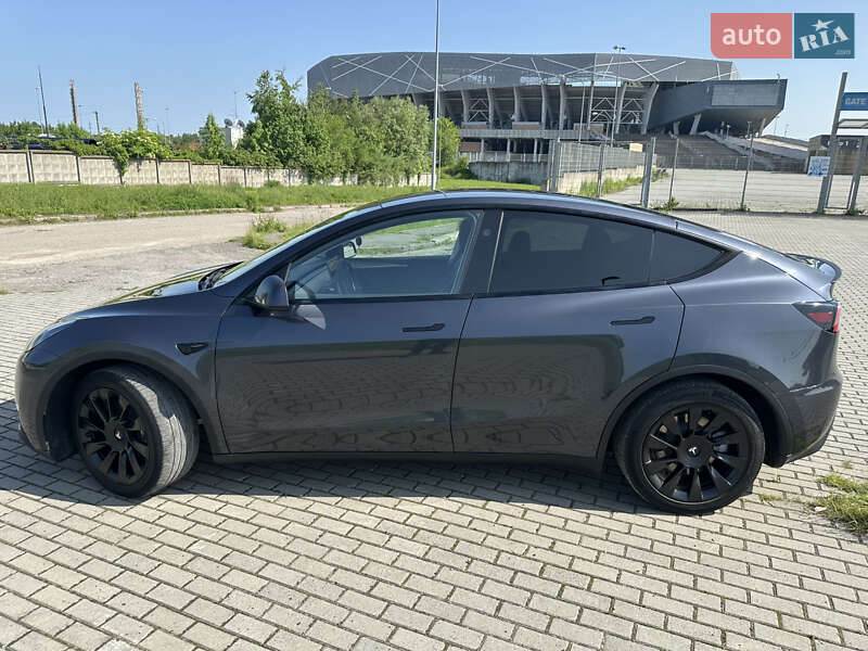 Позашляховик / Кросовер Tesla Model Y 2024 в Львові