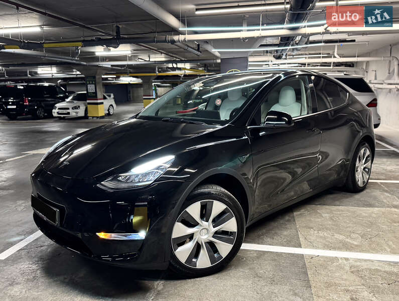 Внедорожник / Кроссовер Tesla Model Y 2021 в Днепре