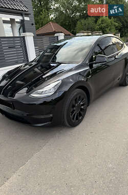 Позашляховик / Кросовер Tesla Model Y 2021 в Дрогобичі