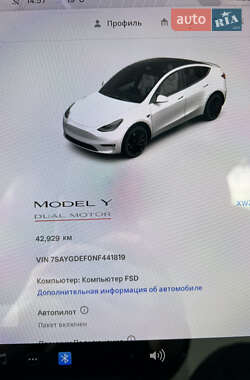 Внедорожник / Кроссовер Tesla Model Y 2022 в 
