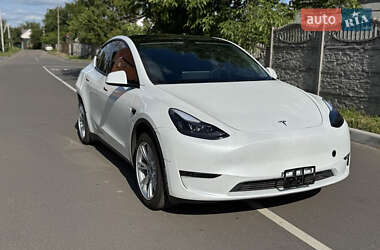 Внедорожник / Кроссовер Tesla Model Y 2024 в 