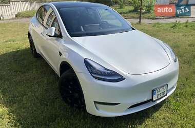 Внедорожник / Кроссовер Tesla Model Y 2023 в 
