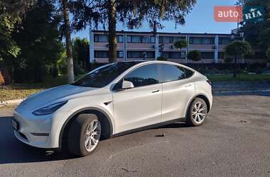 Позашляховик / Кросовер Tesla Model Y 2023 в Звягелі