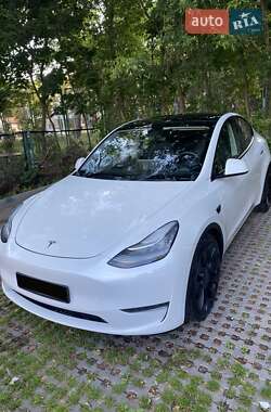 Позашляховик / Кросовер Tesla Model Y 2020 в Києві