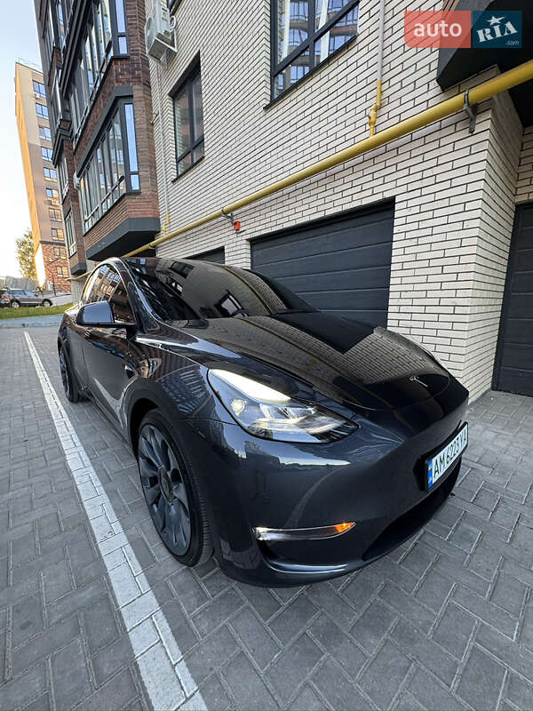 Внедорожник / Кроссовер Tesla Model Y 2024 в Житомире