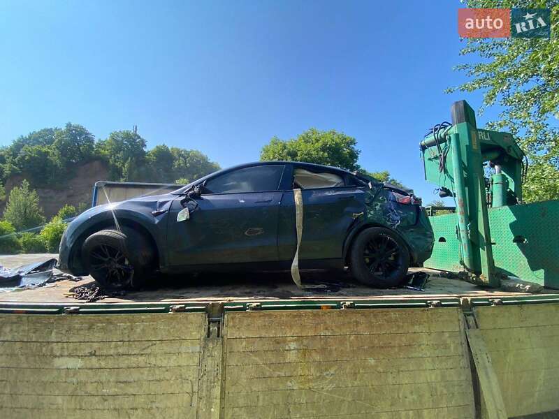 Позашляховик / Кросовер Tesla Model Y 2023 в Бердичеві